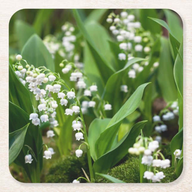 Blumen | Lily of the Valley Schweden Rechteckiger Pappuntersetzer (Vorderseite)