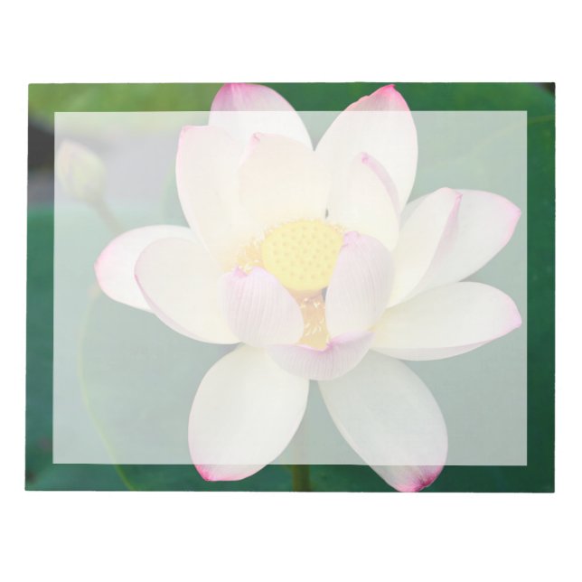 Blumen | Lotus Water Blume Notizblock (Vorderseite)