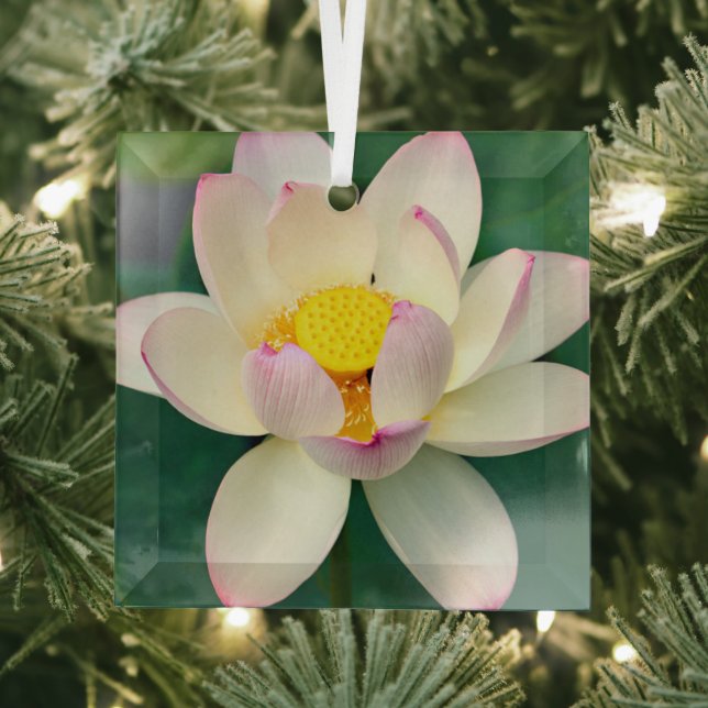 Blumen | Lotus Water Blume Ornament Aus Glas (Insitu)