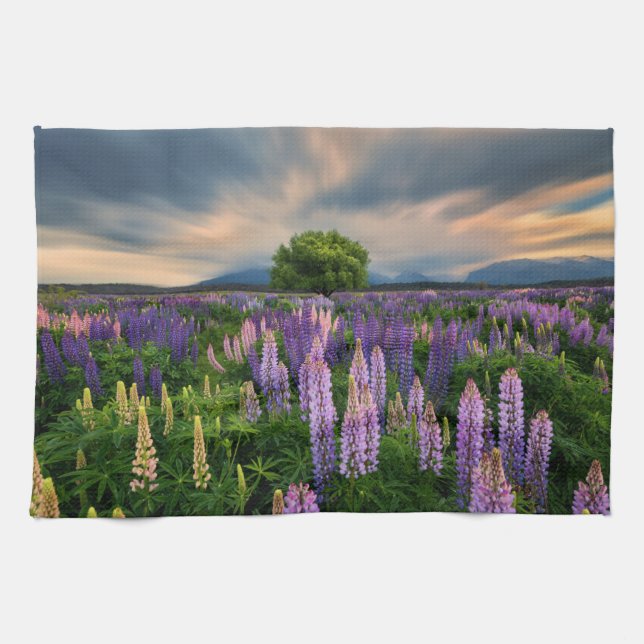 Blumen | Lupinefeld in Neuseeland Geschirrtuch (Horizontal)
