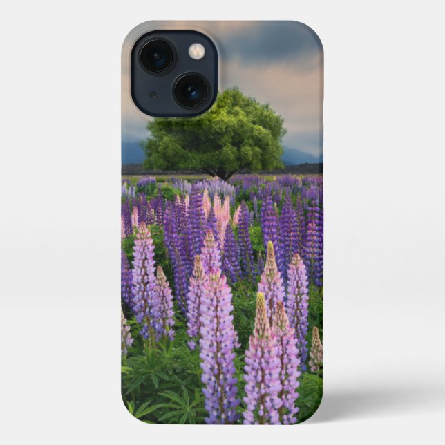 Blumen | Lupinefeld in Neuseeland iPhone Hülle (Rückseite)