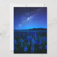 Blumen | Lupinen Blühen am Nachtsee Tekapo