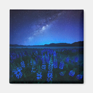 Blumen   Lupinen Blühen am Nachtsee Tekapo Magnet