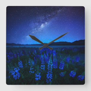 Blumen   Lupinen Blühen am Nachtsee Tekapo Quadratische Wanduhr