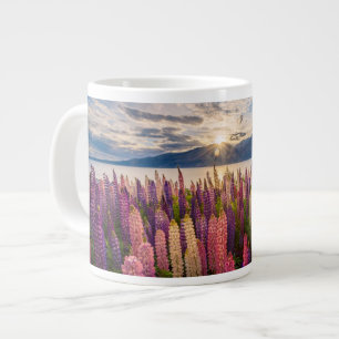 Blumen   Lupinen Neuseeland Jumbo-Tasse