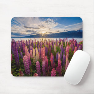 Blumen   Lupinen Neuseeland Mousepad