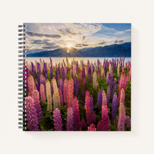 Blumen   Lupinen Neuseeland Notizbuch