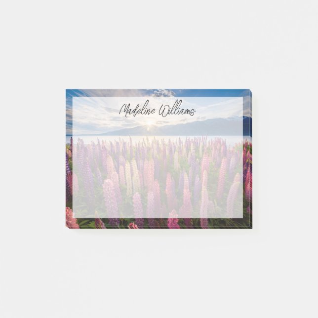 Blumen | Lupinen Neuseeland Post-it Klebezettel (Vorderseite)