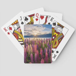 Blumen   Lupinen Neuseeland Spielkarten