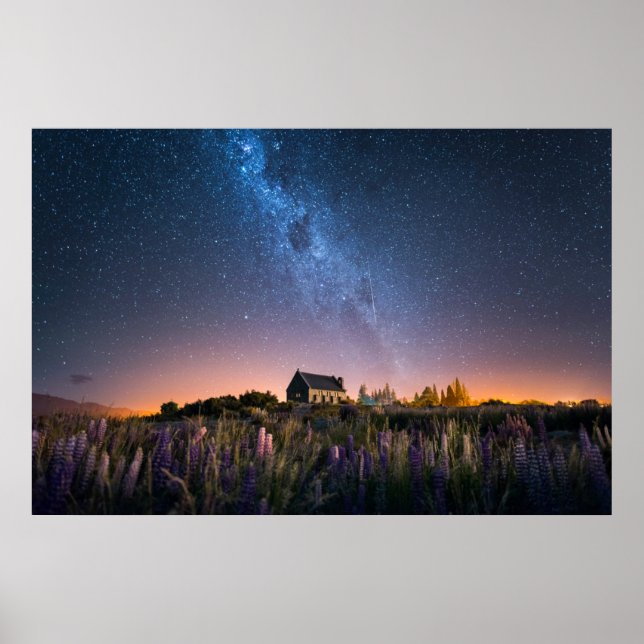 Blumen | Lupines Blühen Tekapo-See Neuseeland Poster (Vorne)