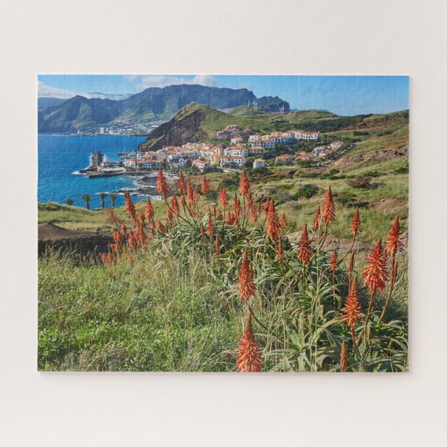Blumen | Madeira Island Portugal (Horizontal)