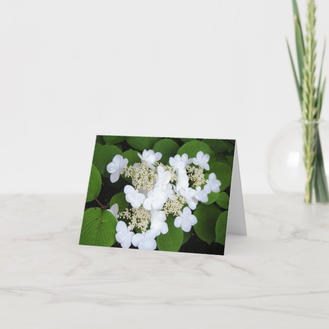 "Blumen mögen Schmetterlinge " Karte (Vorderseite)