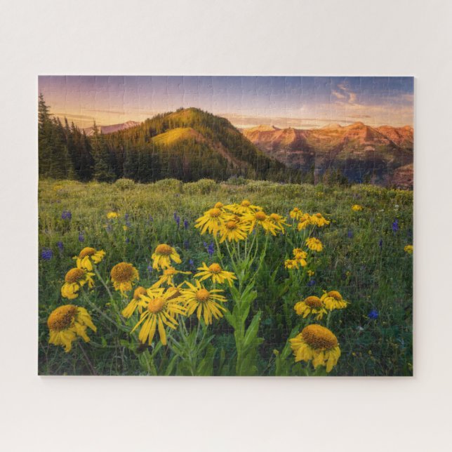 Blumen | Mountain Meadow Crested Butte Colorado (Horizontal)