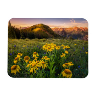 Blumen   Mountain Meadow Crested Butte Colorado Magnet
