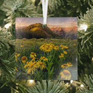 Blumen   Mountain Meadow Crested Butte Colorado Ornament Aus Glas