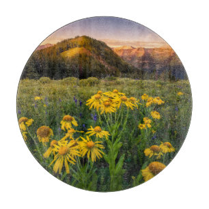 Blumen Mountain Meadow Crested Butte Colorado Schneidebrett