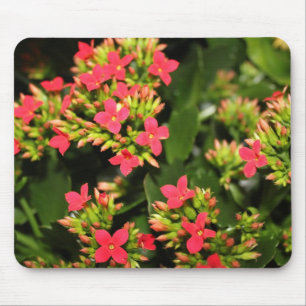 Blumen Mousepad
