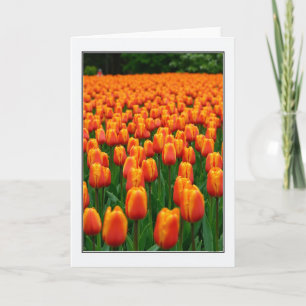 Blumen-Muttertags-Feldkarte Karte