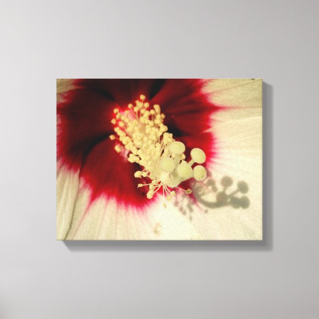 Blumen Nah Up Foto Single Art Poster Leinwanddruck (Vorderseite)