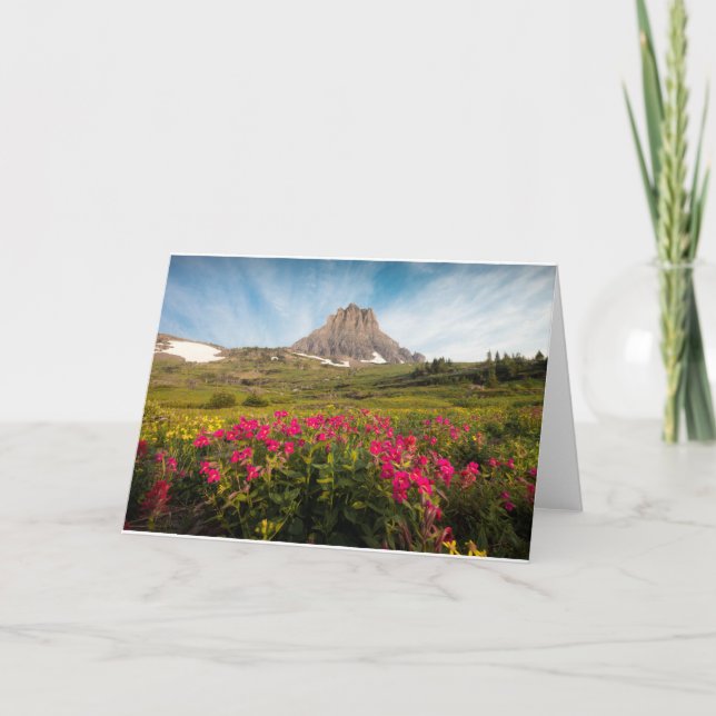 Blumen | Nationalpark des Gletschers von Montana Karte (Vorderseite)