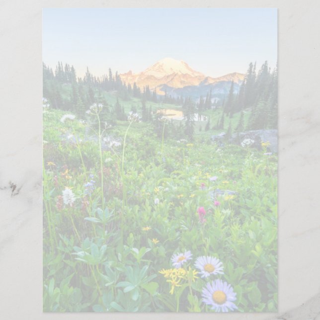 Blumen | Nationalpark Rainier (Vorderseite)