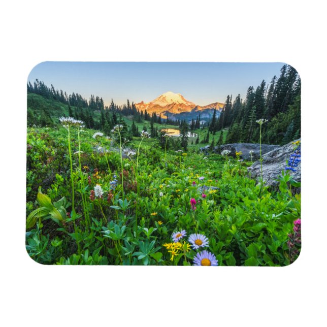 Blumen | Nationalpark Rainier Magnet (Horizontal)
