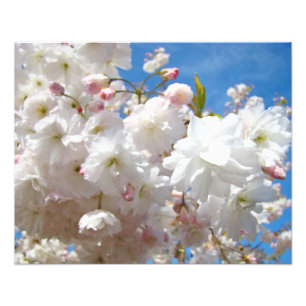 Blumen-Natur-Fotografie-Drucke Blüten Blumen Fotodruck