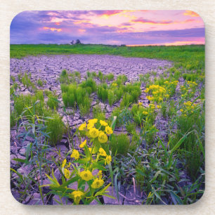 Blumen   North Dakota Red River Valley Getränkeuntersetzer