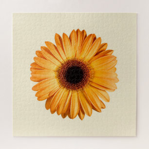 Blumen Orange Gerbera