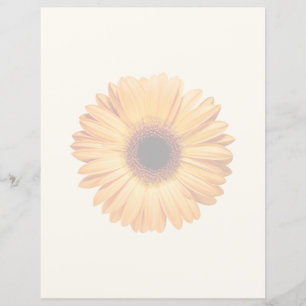 Blumen Orange Gerbera