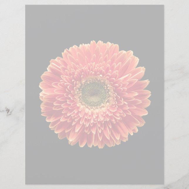 Blumen | Orange Gerbera Daisy (Vorderseite)