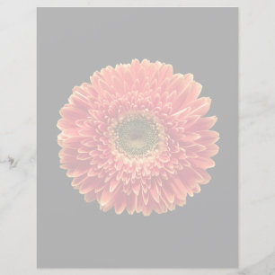 Blumen Orange Gerbera Daisy