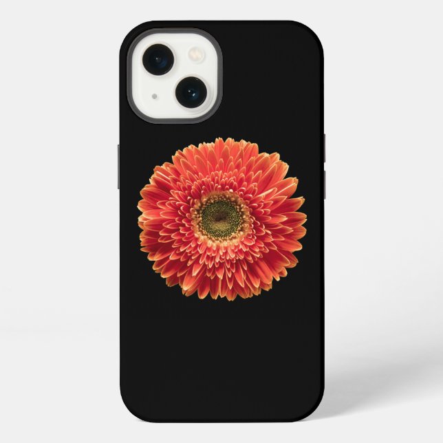 Blumen | Orange Gerbera-Daisy iPhone Hülle (Rückseite)