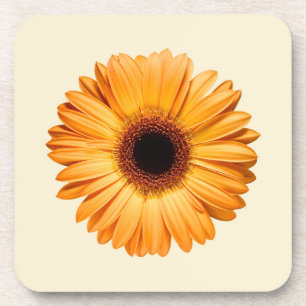 Blumen Orange Gerbera Getränkeuntersetzer