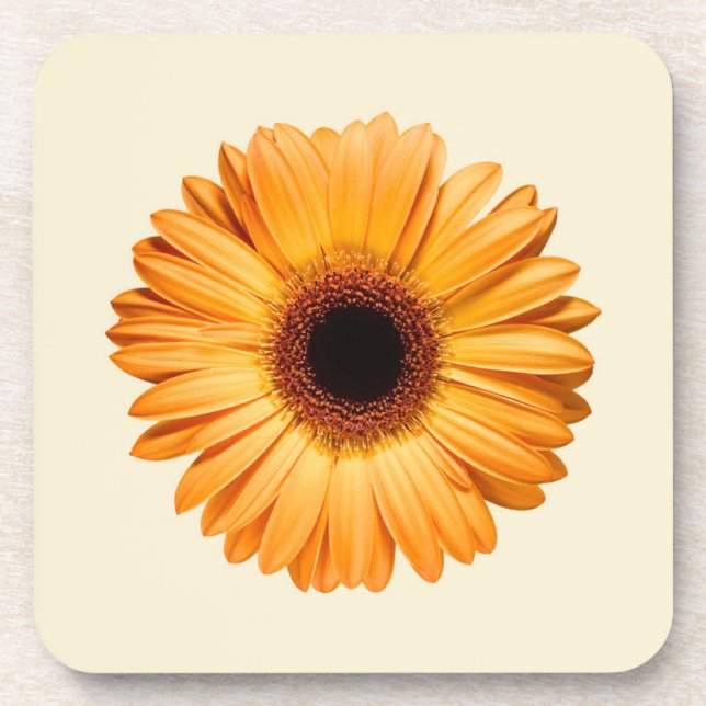Blumen | Orange Gerbera Getränkeuntersetzer (Vorderseite)