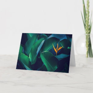 Blumen   Paradiesvogel Karte