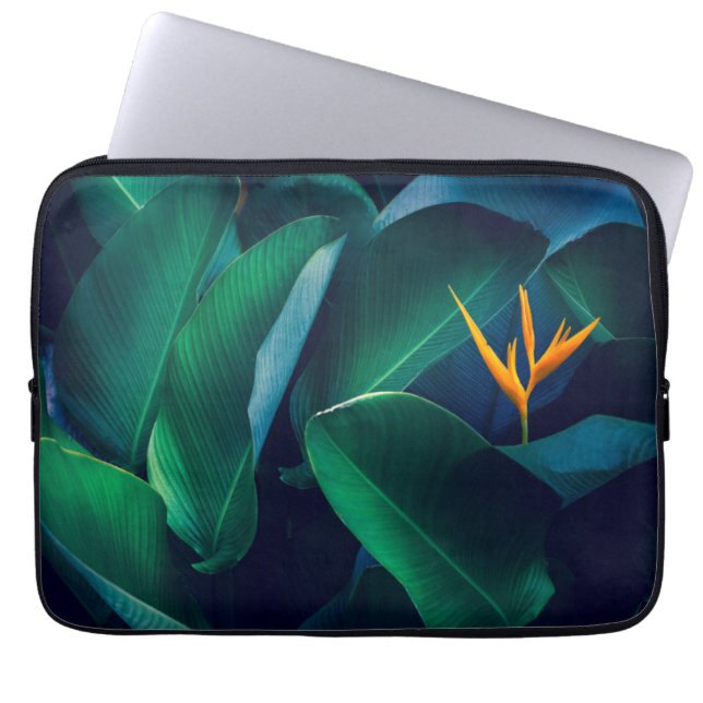 Blumen | Paradiesvogel Laptopschutzhülle (Vorderseite)