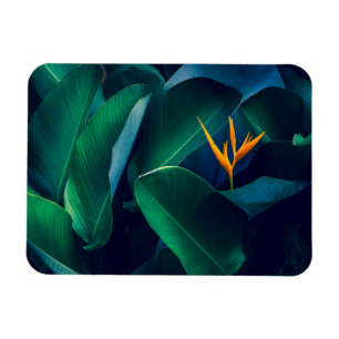 Blumen Paradiesvogel Magnet