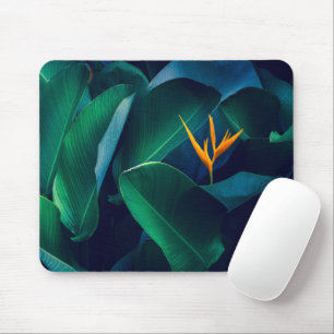 Blumen Paradiesvogel Mousepad