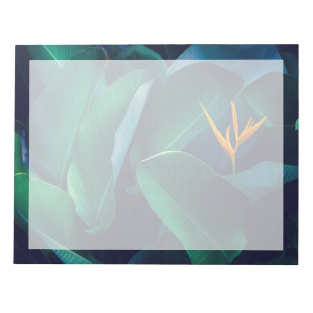Blumen | Paradiesvogel Notizblock (Vorderseite)