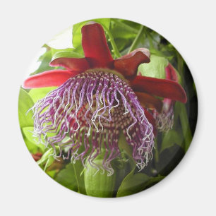 Blumen Pflanzen auf Baum Magnet