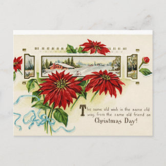Blumen-Poinsettia-Postkarten Feiertagspostkarte