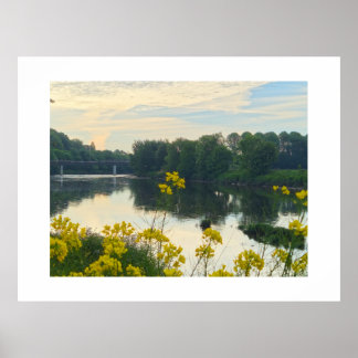 Blumen Poster