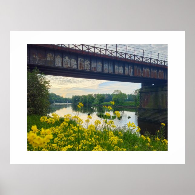 Blumen  poster (Vorne)
