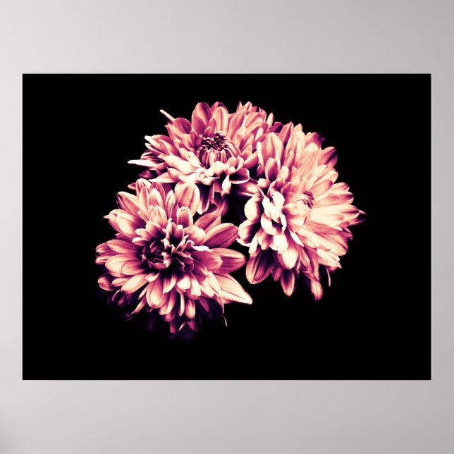 Blumen Poster (Vorne)
