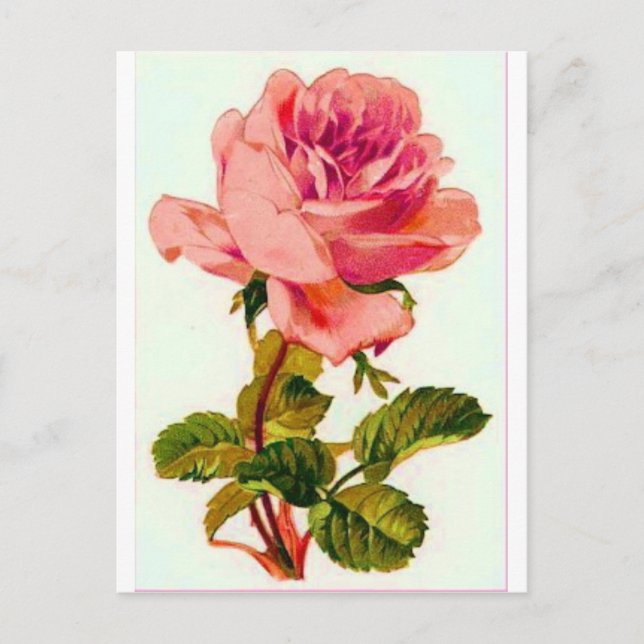 Blumen Postkarte (Vorderseite)