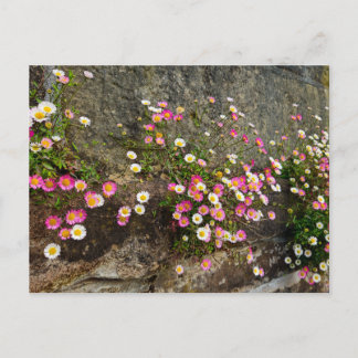 Blumen postkarte