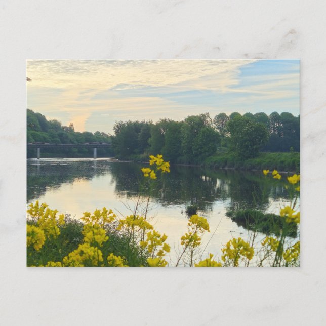 Blumen Postkarte (Vorderseite)