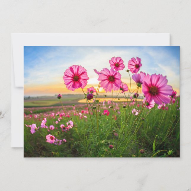 Blumen |Provinz Chiang Rai, Thailand Dankeskarte (Vorderseite)