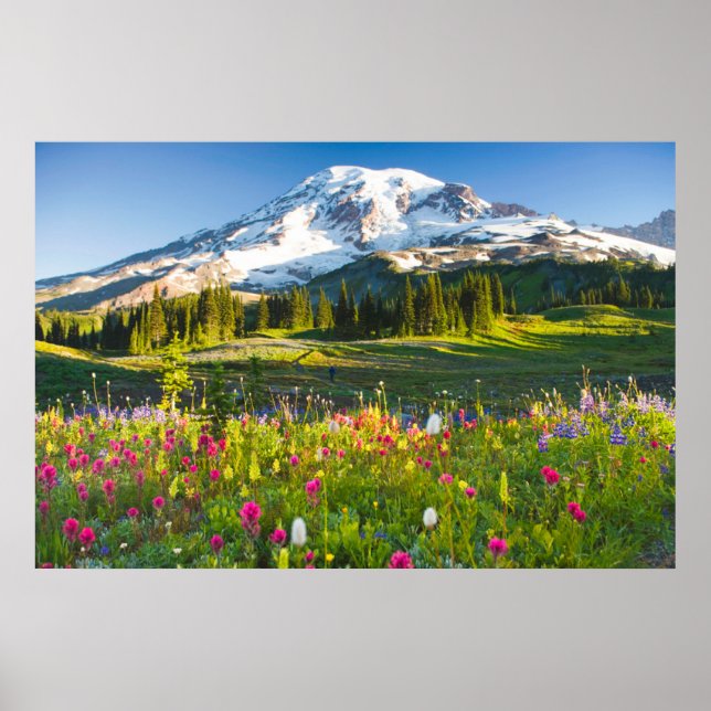 Blumen | Rainier-Wildblumen Poster (Vorne)